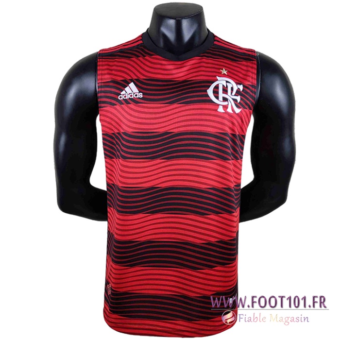 Maillot de Foot Flamengo Gilet 2022/2023