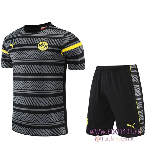 Ensemble Training T-Shirts +Shorts Dortmund BVB Gris 2022/2023