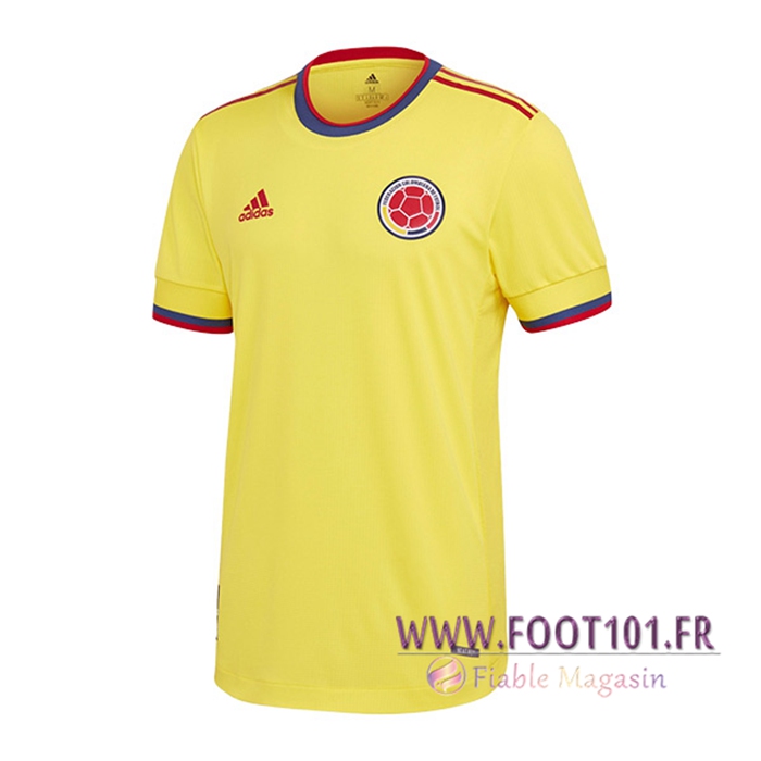 Nouveau Maillot de Foot Colombie Domicile Coupe du monde 2022