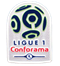 Ligue 1 Français